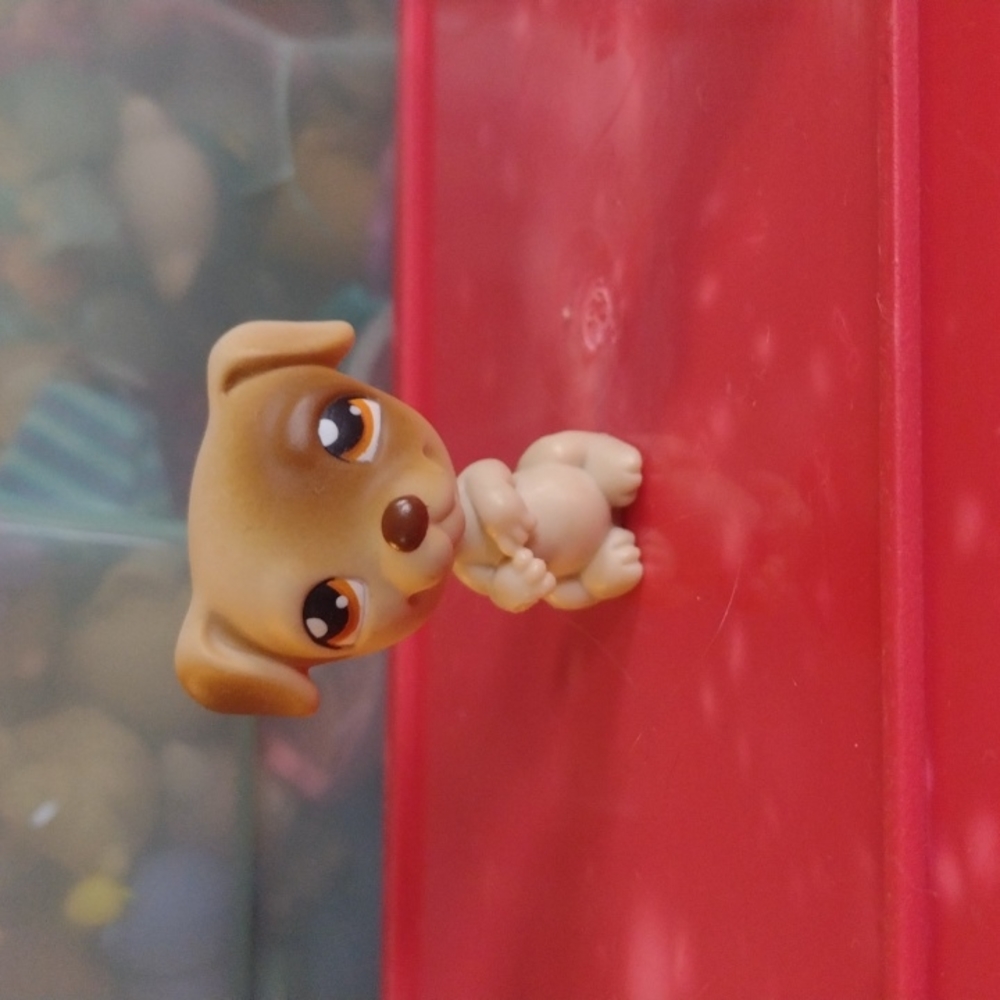 Littlest Pet Shop dog